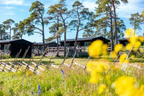 STF Hostel Ihre Gård in Lärbro
